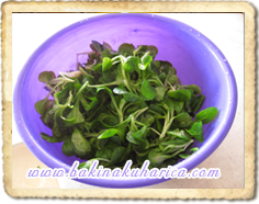 salata od matovilca